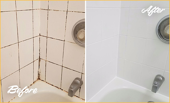 Before and After Picture of a Jacksonville Shower Tile and Grout Cleaned to Eliminate Mold