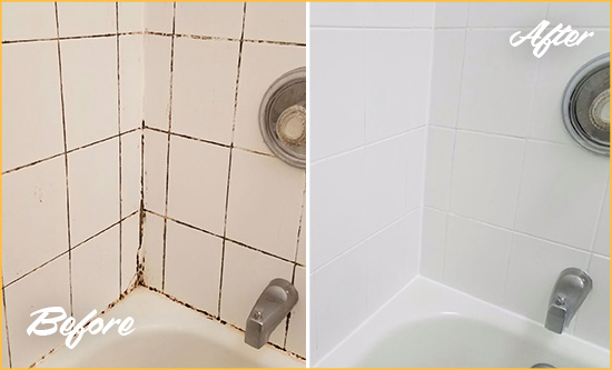 Before and After Picture of a Orange Park Shower Tile and Grout Cleaned to Eliminate Mold