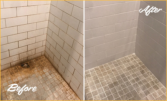 Before and After Picture of a Fruit Cove Shower Tile and Grout Cleaned to Eliminate Mold and Stains