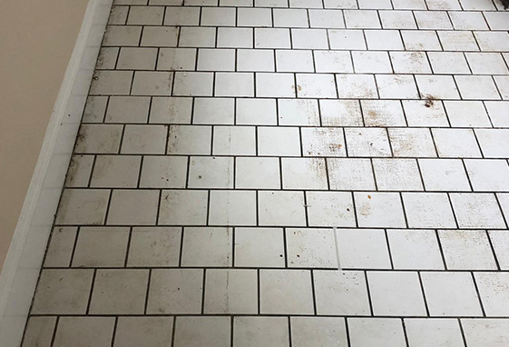 Grout Recoloring Before