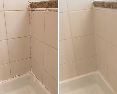 Shower Before and After a Grout Cleaning in St. Augustine, FL 