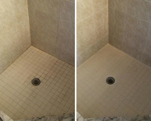 Shower Before and After a Grout Sealing in Orange Park, FL