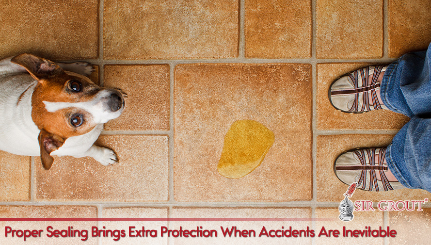 Proper Sealing Brings Extra Protection When Accidents Are Inevitable