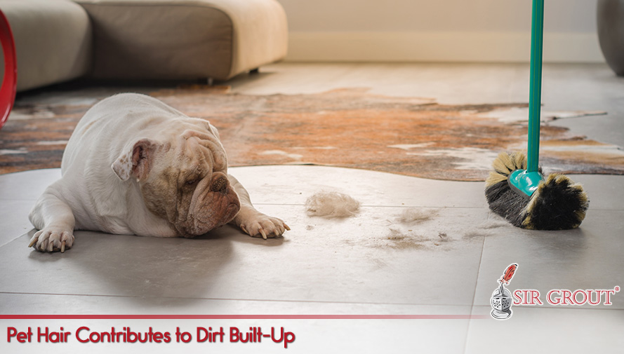 Pet Hair Contributes to Dirt Built-Up