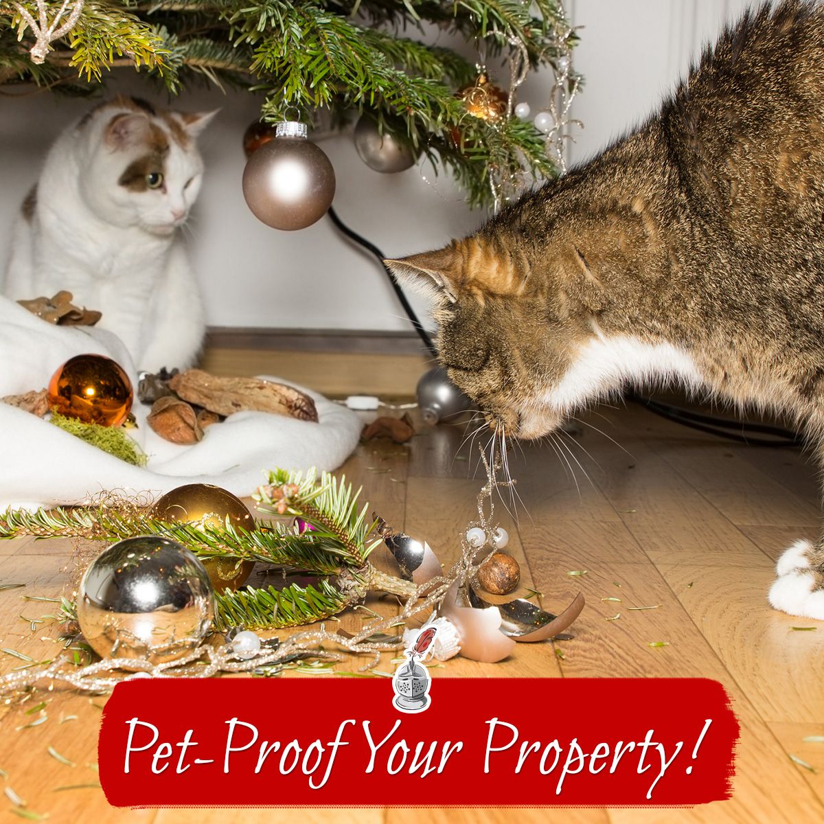 Pet-Proof your Property!